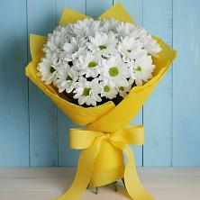 Букет цветов из:  Хризантемы в Кабожа
