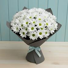 Букет цветов из:  Хризантемы в Кабожа
