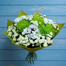 Букет цветов из:  Хризантемы #REPLACE_PRED# Кабожа