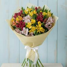 Букет цветов из:  Альстромерии #REPLACE_PRED# Кабожа